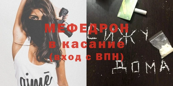 индика Каменногорск